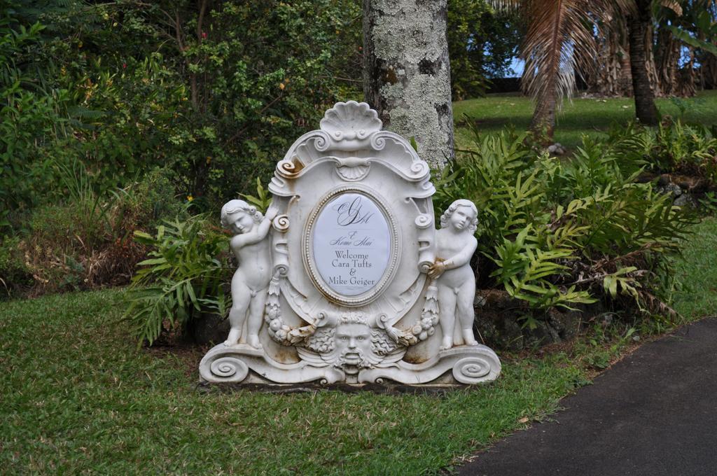The Palms Cliff House Inn Honomu Extérieur photo